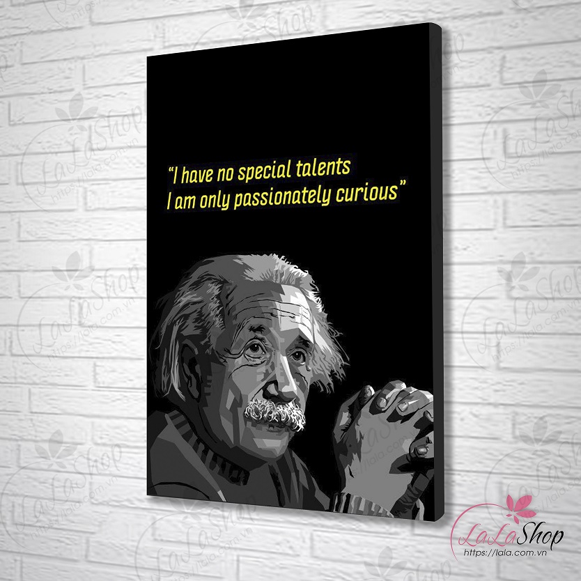 Tranh treo tường I have no special talents iam only passionately curious